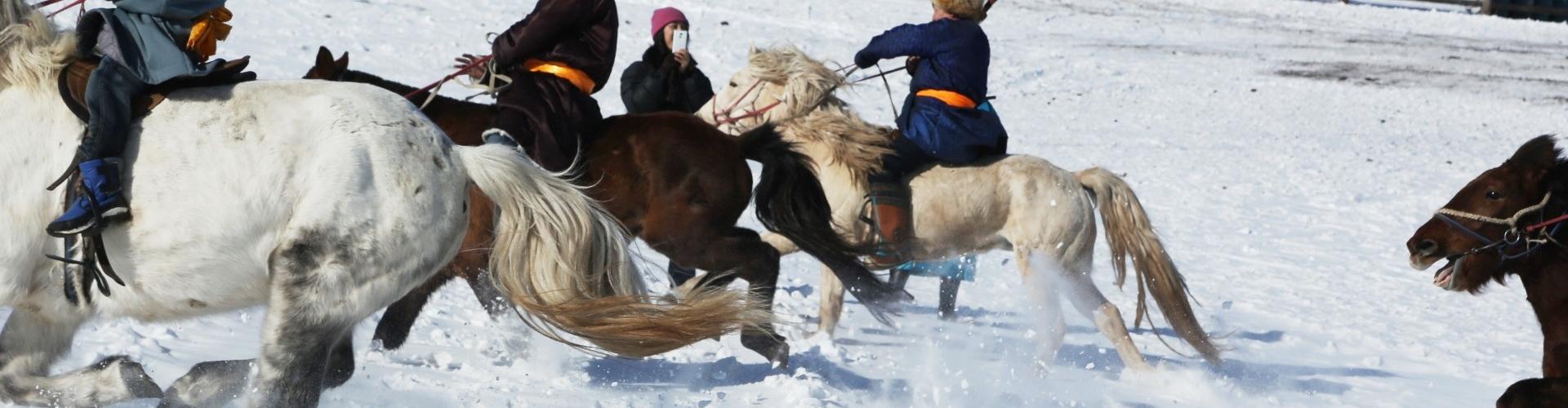 Winter Horse Trekking